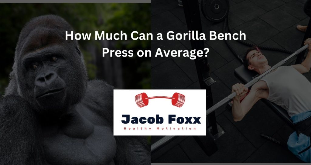 How Much Can a Gorilla Bench Press on Average?
